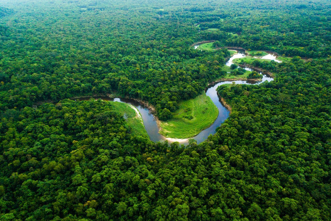 Professor do ITESP publica artigo na RIBLA sobre a Amazônia, Bíblia e Justiça